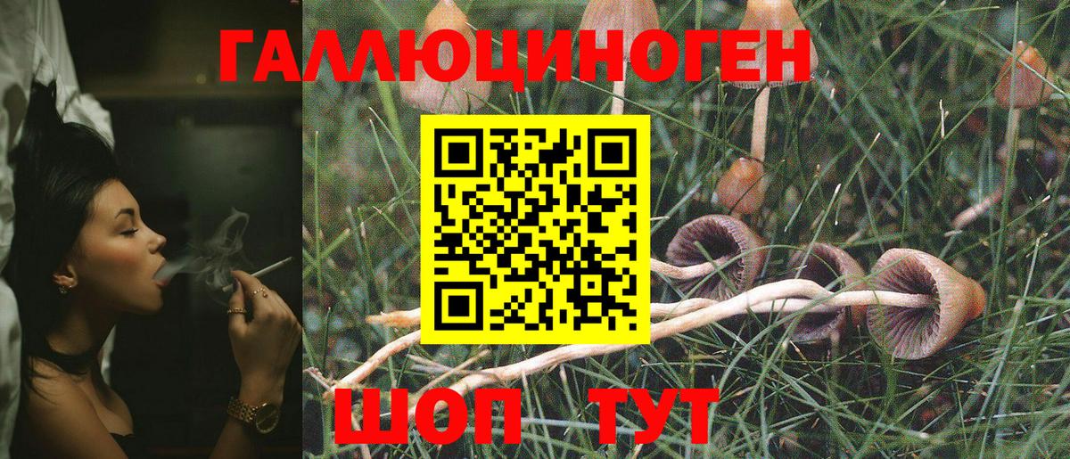 Псилоцибиновые грибы мухоморы Невинномысск