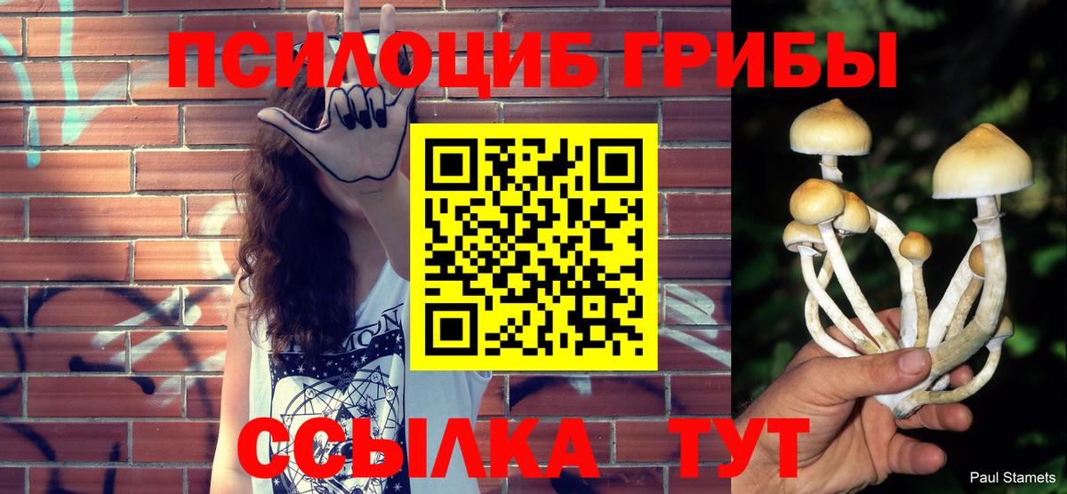 Псилоцибиновые грибы MAGIC MUSHROOMS  Невинномысск 