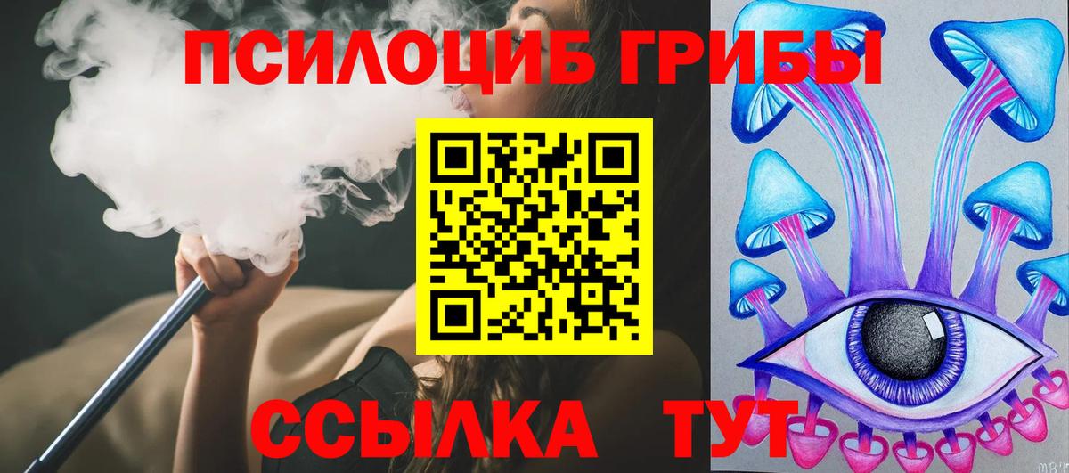 Галлюциногенные грибы Cubensis  Вход с VPN  Невинномысск 