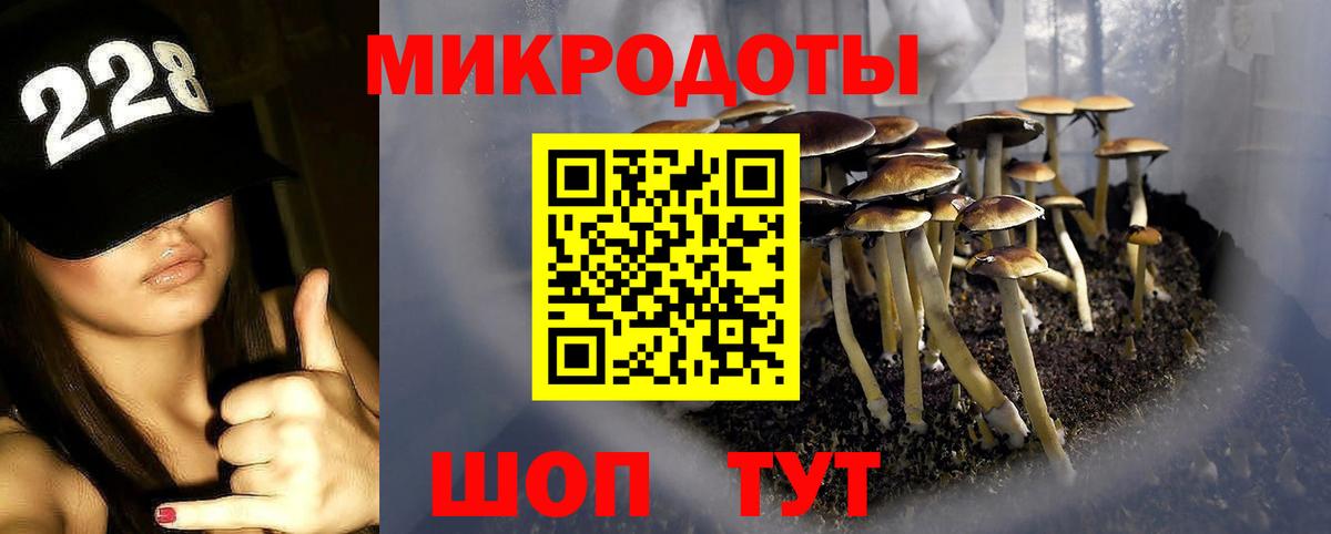 Псилоцибиновые грибы GOLDEN TEACHER Невинномысск