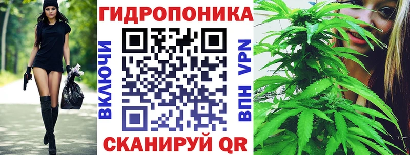 закладка  Невинномысск  Шишки марихуана планчик 
